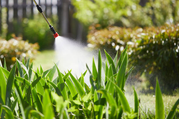 24/7 Emergency Wasp Removal experts in South Browning, MT